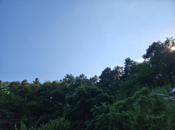 법원경매 2025타경741 사진8 | 시흥시 포동 임야 경매