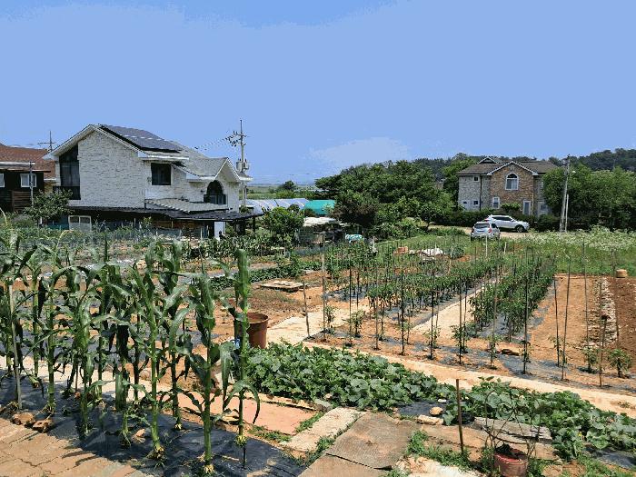 법원경매 2025타경52556 사진6 | 안산시 단원구 대부동동 34-2 전 경매