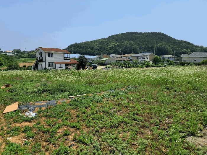 법원경매 2025타경52556 사진7 | 안산시 단원구 대부동동 34-2 전 경매
