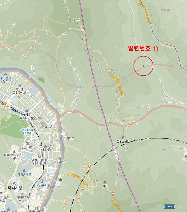 법원경매 2025타경30367 사진28 | 정선군 남면 무릉리 601-4 임야 경매