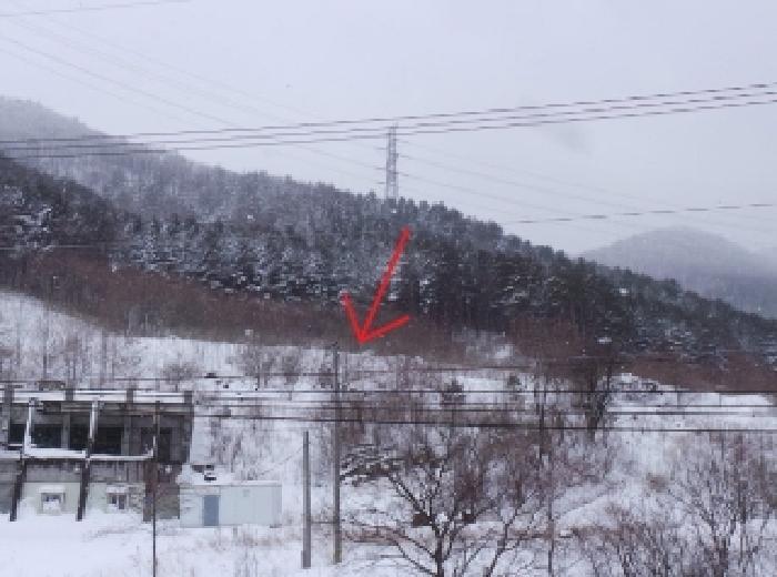 법원경매 2025타경30367 사진9 | 정선군 남면 무릉리 601-4 임야 경매