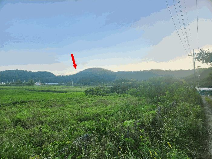 법원경매 2025타경52998 사진3 | 안산시 단원구 대부남동 1066-27 답 경매