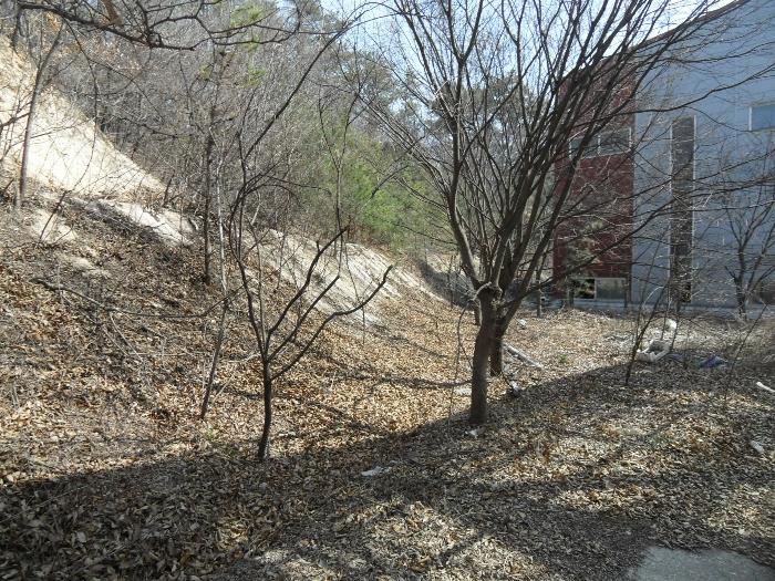 2024타경752 법원경매 사진44 | 충남 당진시 공장 경매