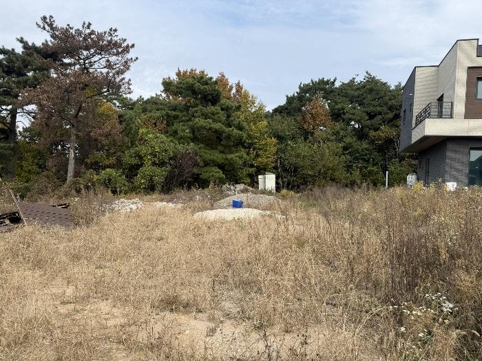 2024타경4600 법원경매 사진30 | 충남 서산시 단독주택 경매