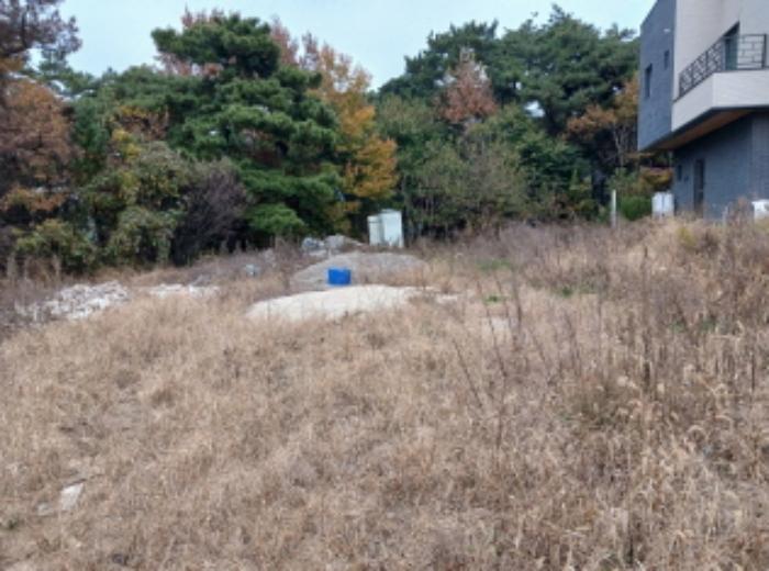 2024타경4600 법원경매 사진32 | 충남 서산시 단독주택 경매
