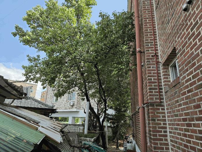 충청북도 청주시 청원구 우암동 144-14 법원경매 물건 대표사진