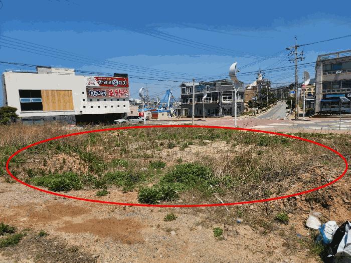 2025타경606 법원경매 사진8 | 충남 태안군 대지 경매