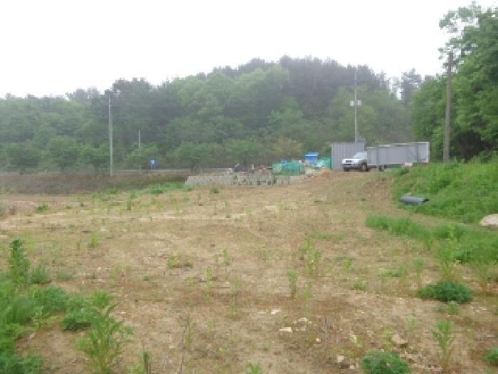 2025타경638 법원경매 사진23 | 충남 태안군 임야 경매