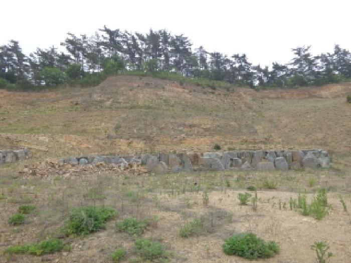 2025타경638 법원경매 사진29 | 충남 태안군 임야 경매