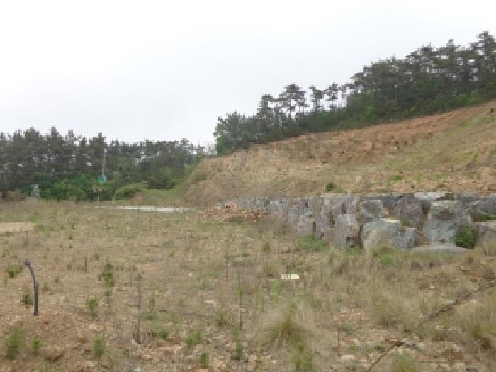 2025타경638 법원경매 사진30 | 충남 태안군 임야 경매