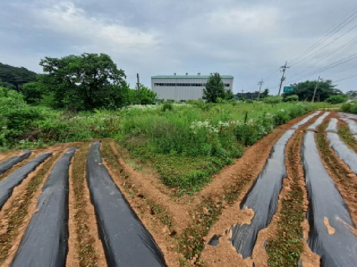 법원경매 2025타경680 사진6 | 당진시 송악읍 답 경매
