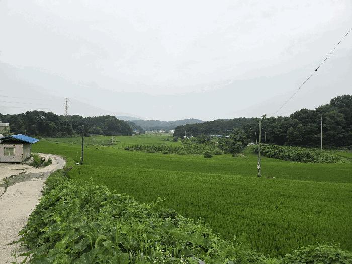 충청북도 청주시 서원구 남이면 팔봉리 201-12 법원경매 물건 대표사진