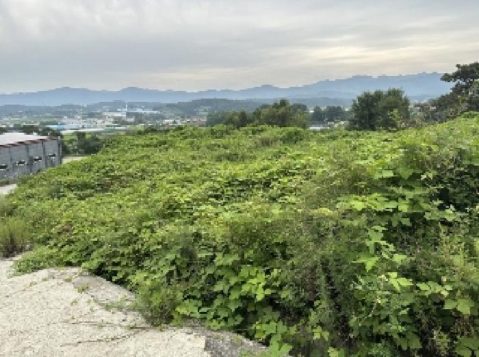 충청북도 증평군 증평읍 내성리 509 법원경매 물건 대표사진