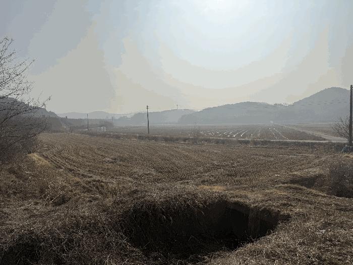 2025타경51044 법원경매 사진3 | 충남 당진시 임야 경매