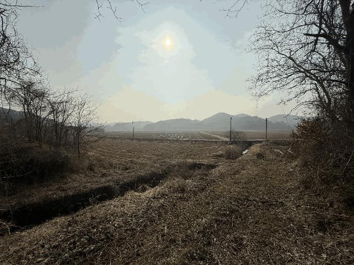 2025타경51044 법원경매 사진5 | 충남 당진시 임야 경매