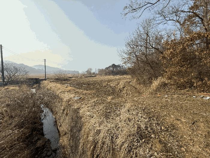 2025타경51044 법원경매 사진6 | 충남 당진시 임야 경매