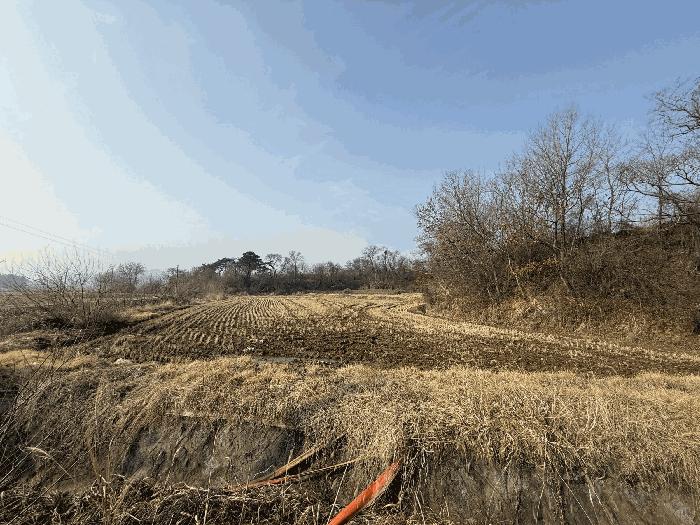 2025타경51044 법원경매 사진7 | 충남 당진시 임야 경매