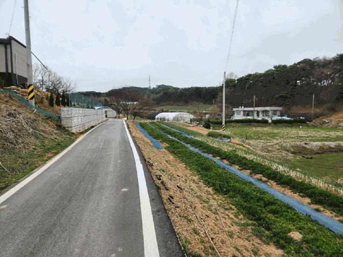 2025타경51149 법원경매 사진2 | 충남 서산시 임야 경매