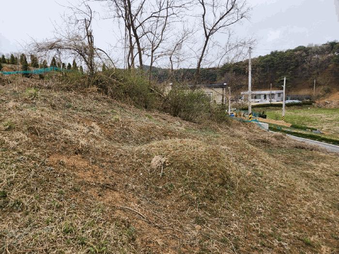 2025타경51149 법원경매 사진4 | 충남 서산시 임야 경매