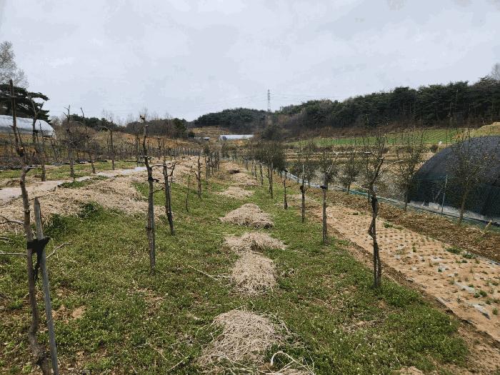 2025타경51149 법원경매 사진5 | 충남 서산시 전 경매