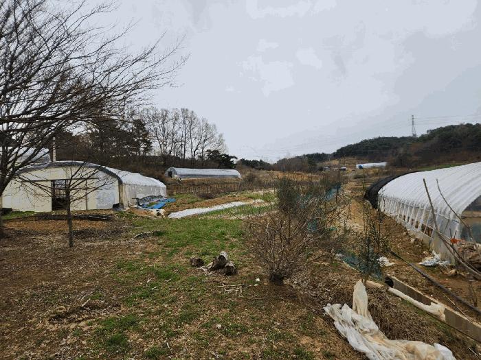 2025타경51149 법원경매 사진10 | 충남 서산시 임야 경매