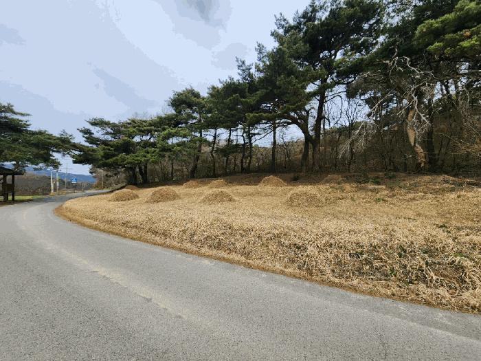 2025타경51149 법원경매 사진11 | 충남 서산시 임야 경매