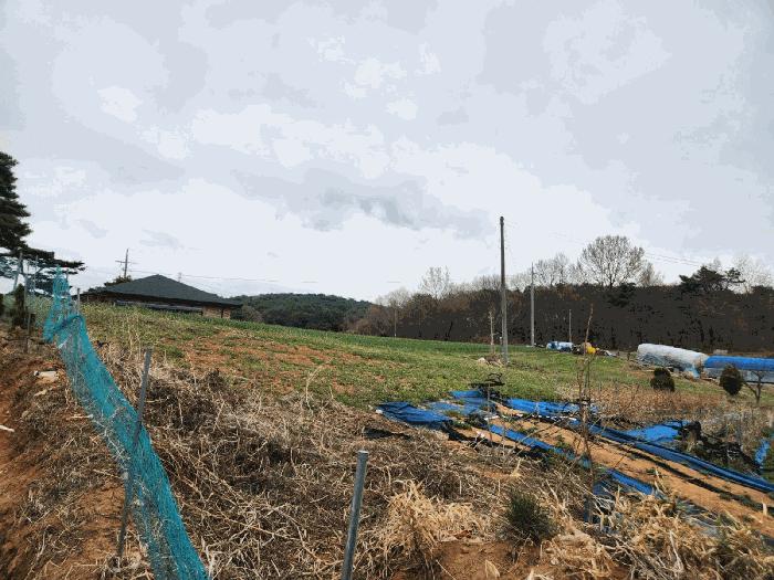 2025타경51149 법원경매 사진16 | 충남 서산시 임야 경매
