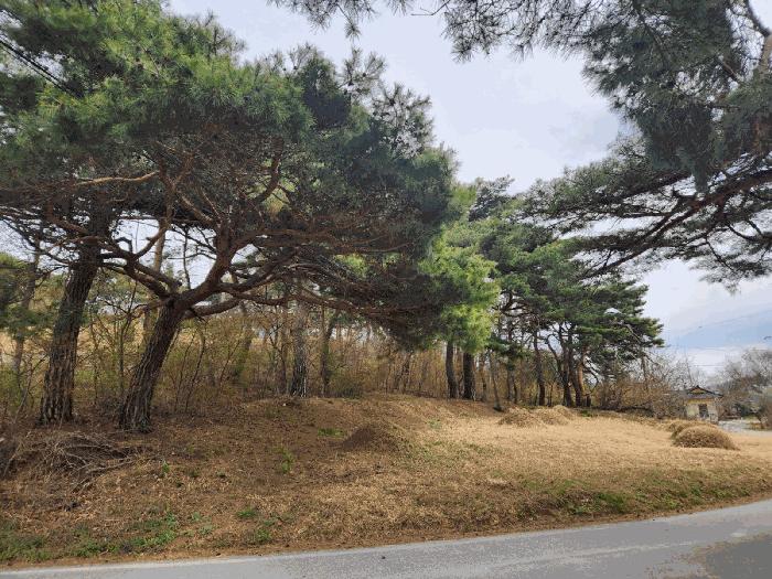 2025타경51149 법원경매 사진18 | 충남 서산시 임야 경매