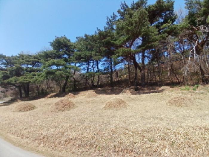 2025타경51149 법원경매 사진36 | 충남 서산시 임야 경매