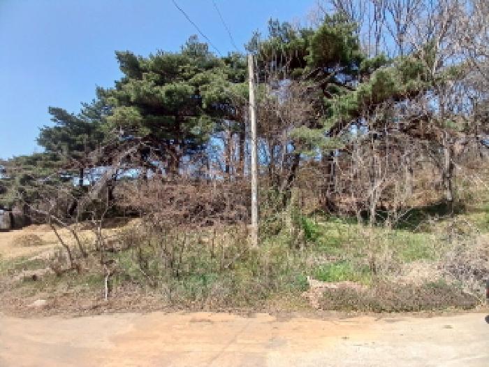 2025타경51149 법원경매 사진37 | 충남 서산시 임야 경매