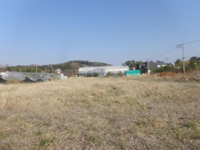 2025타경51179 법원경매 사진22 | 충남 태안군 임야 경매