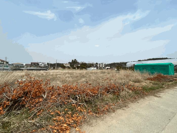 2025타경51179 법원경매 사진8 | 충남 태안군 임야 경매