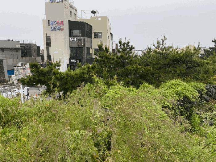 2025타경1283 법원경매 사진5 | 제주 제주시 전 경매