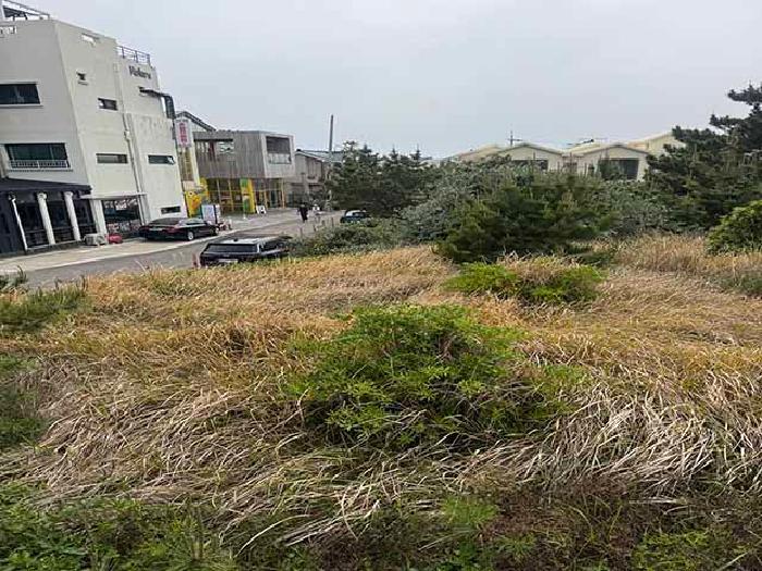 2025타경1283 법원경매 사진6 | 제주 제주시 전 경매