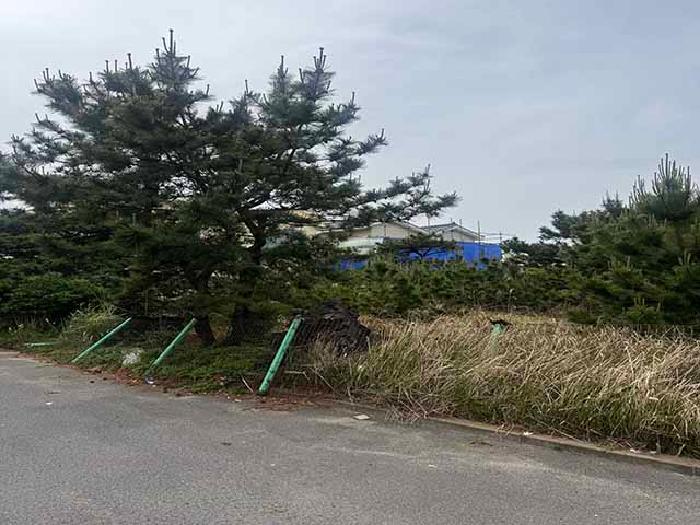 2025타경1283 법원경매 사진9 | 제주 제주시 전 경매