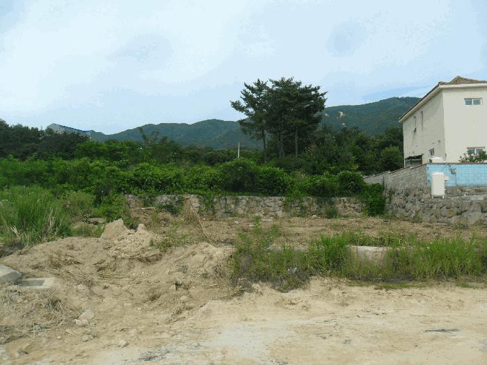 법원경매 2025타경327 사진5 | 경주시 외동읍 모화리 임야 경매