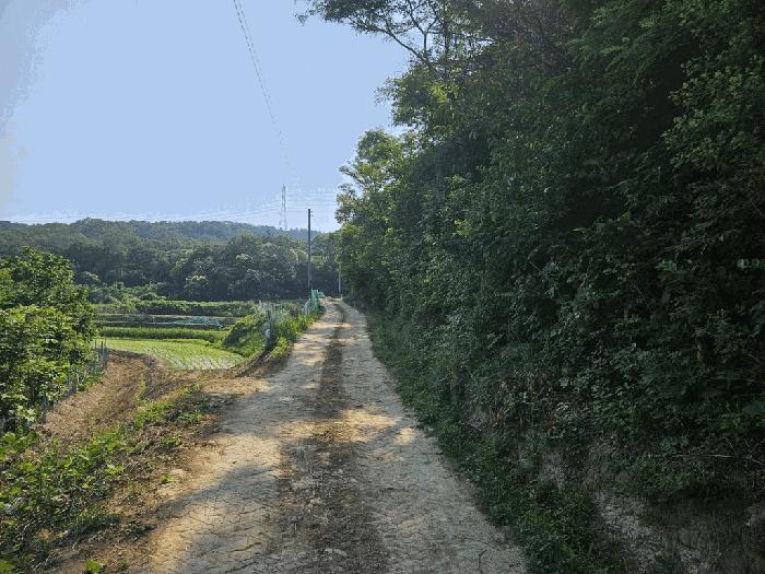경북 경주시 현곡면 금장리 155 전 사진 5