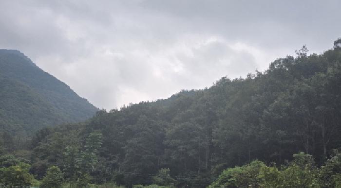 2025타경1381 법원경매 사진2 | 경남 양산시 임야 경매