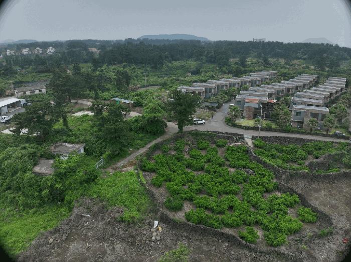 2025타경8230 법원경매 사진2 | 제주 서귀포시 임야 경매