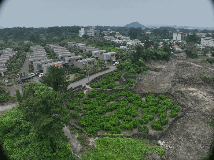 2025타경8230 법원경매 사진3 | 제주 서귀포시 임야 경매