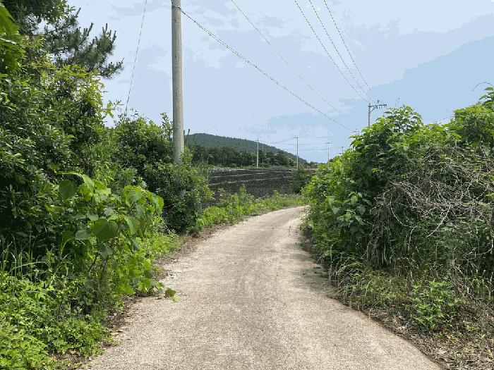 2025타경8237 법원경매 사진3 | 제주 서귀포시 임야 경매