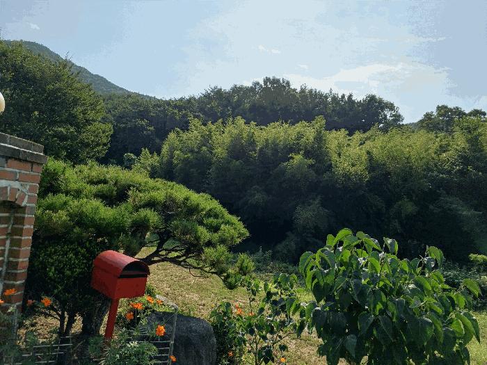 법원경매 2025타경10644 사진5 | 경주시 광명동 임야 경매