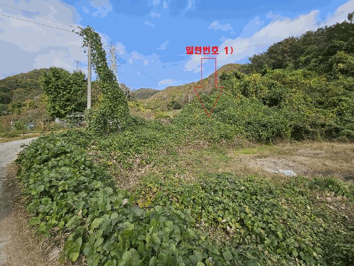 경상북도 경주시 양남면 나산리 758 법원경매 물건 대표사진