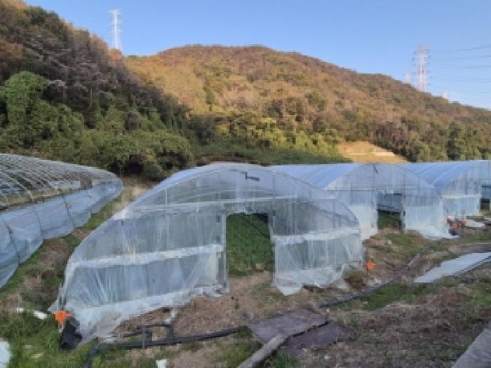 법원경매 2025타경10678 사진5 | 경주시 양남면 나산리 758 답 경매
