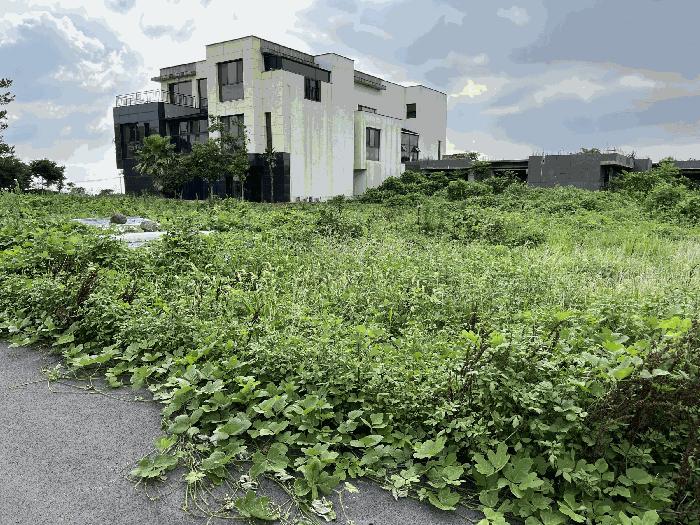 2025타경8448 법원경매 사진8 | 제주 제주시 목장용지 경매
