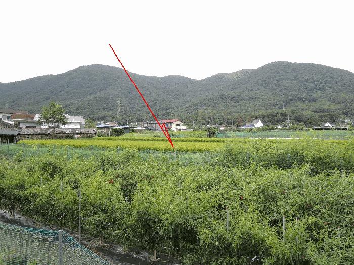법원경매 2025타경12438 사진2 | 울산 울주군 범서읍 척과리 386-1 답 경매