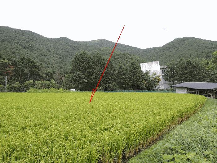 법원경매 2025타경12438 사진4 | 울산 울주군 범서읍 척과리 386-1 답 경매