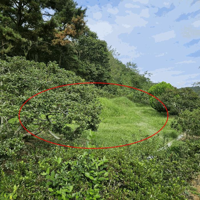 법원경매 2025타경12500 사진2 | 중구 유곡동 867 전 경매