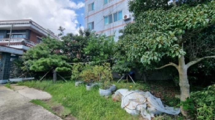 2025타경8713 법원경매 사진35 | 제주 서귀포시 주택건물 경매