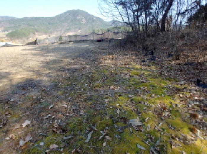 2025타경502032 법원경매 사진29 | 충남 금산군 전 경매